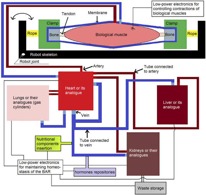 FIGURE 1