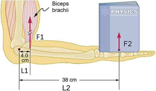 FIGURE 3