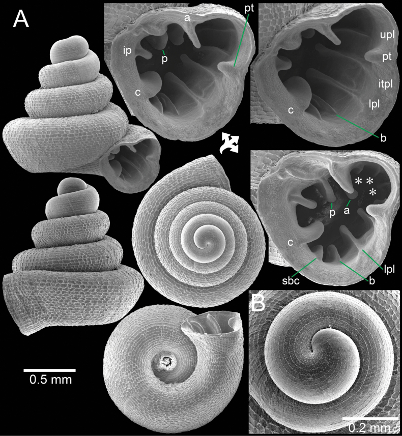 Figure 10