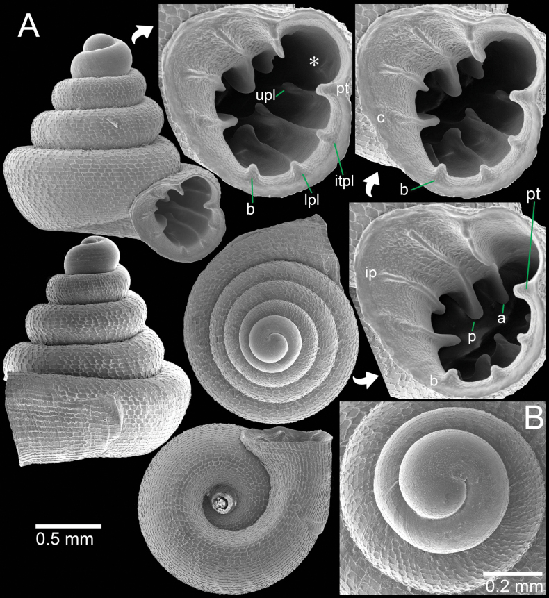 Figure 11