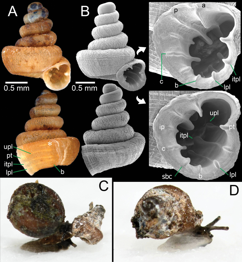 Figure 12