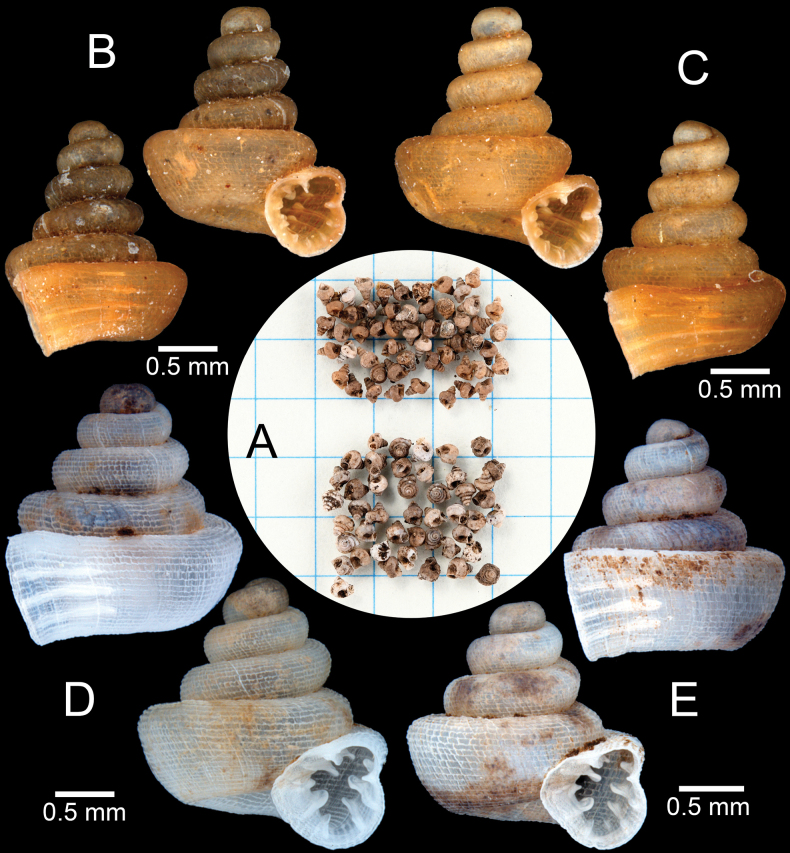 Figure 13