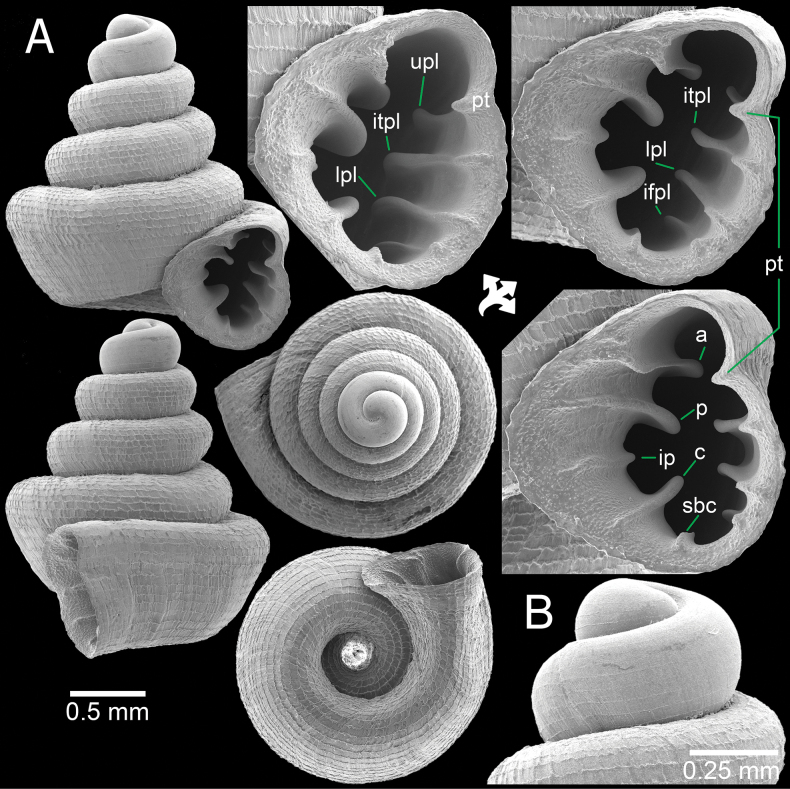 Figure 14