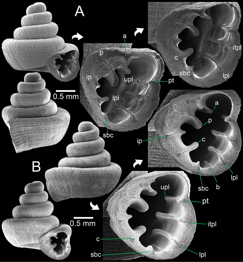 Figure 15