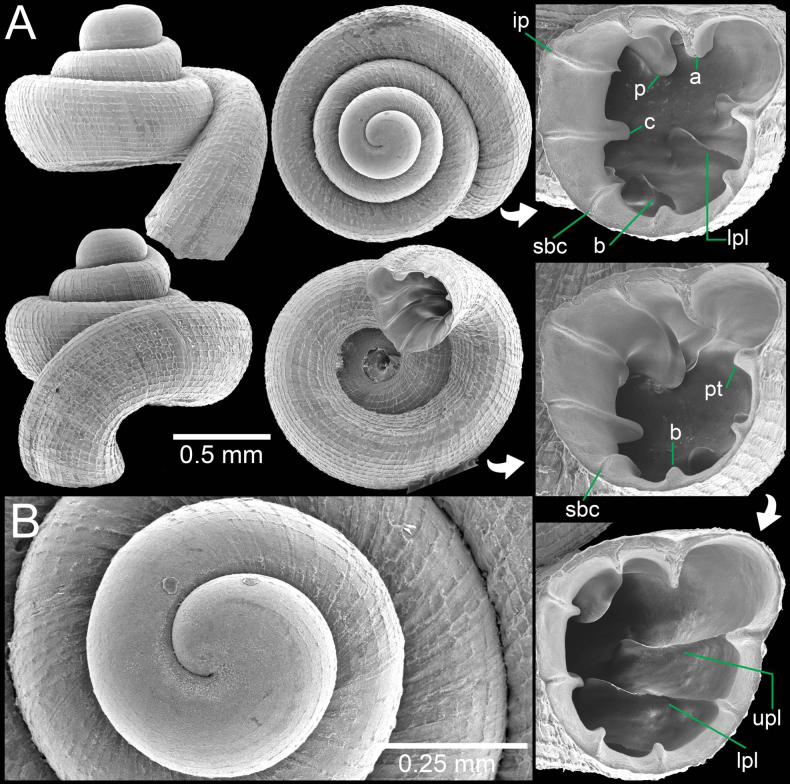 Figure 16