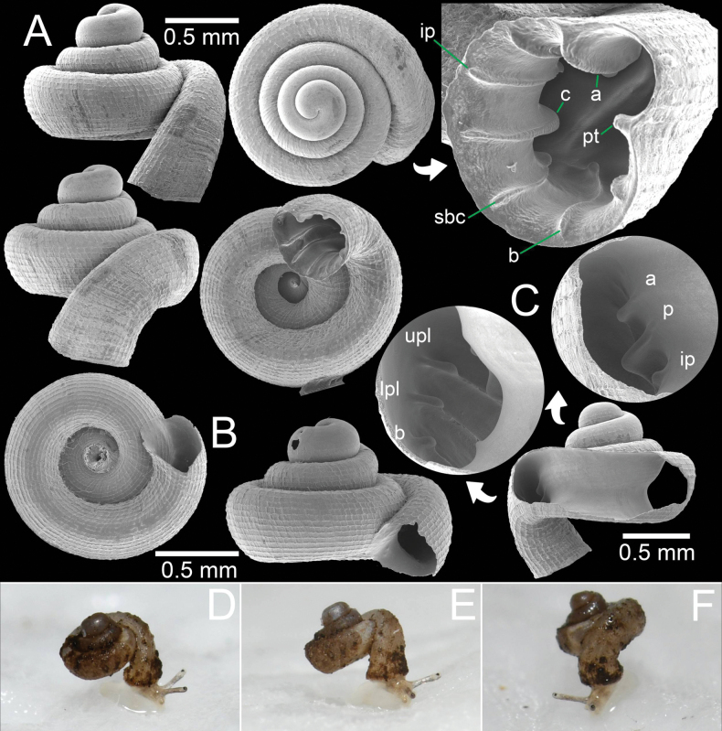 Figure 17