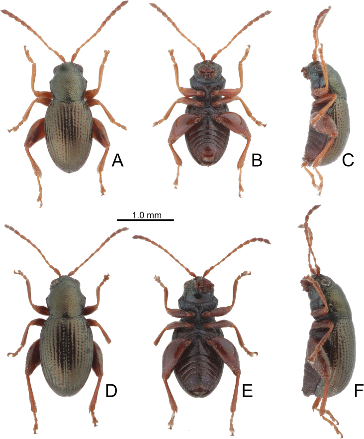 Figure 5