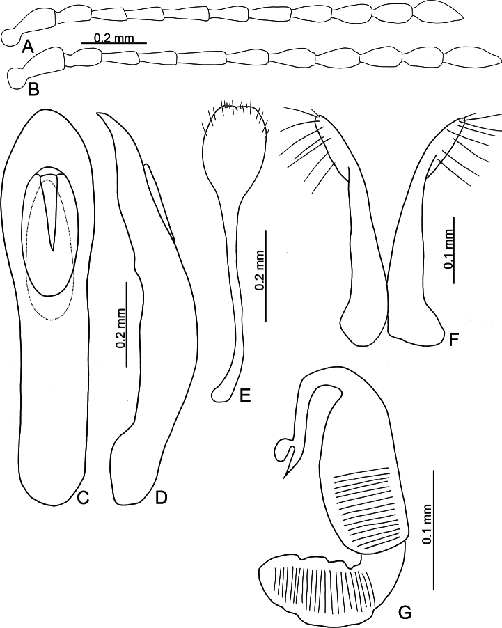 Figure 8