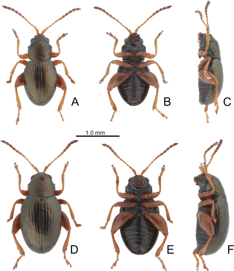 Figure 10