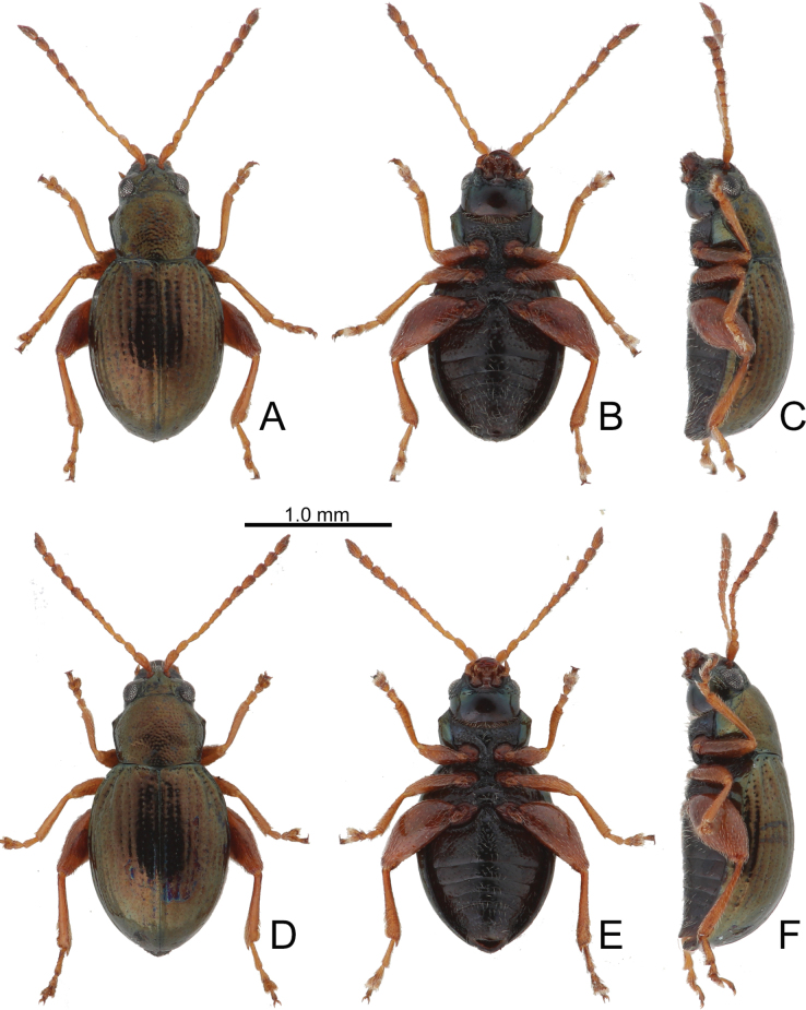 Figure 12