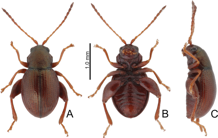 Figure 16