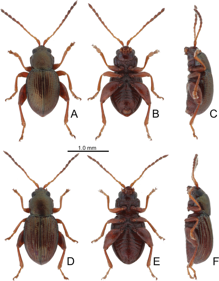 Figure 17