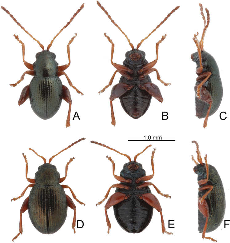 Figure 19