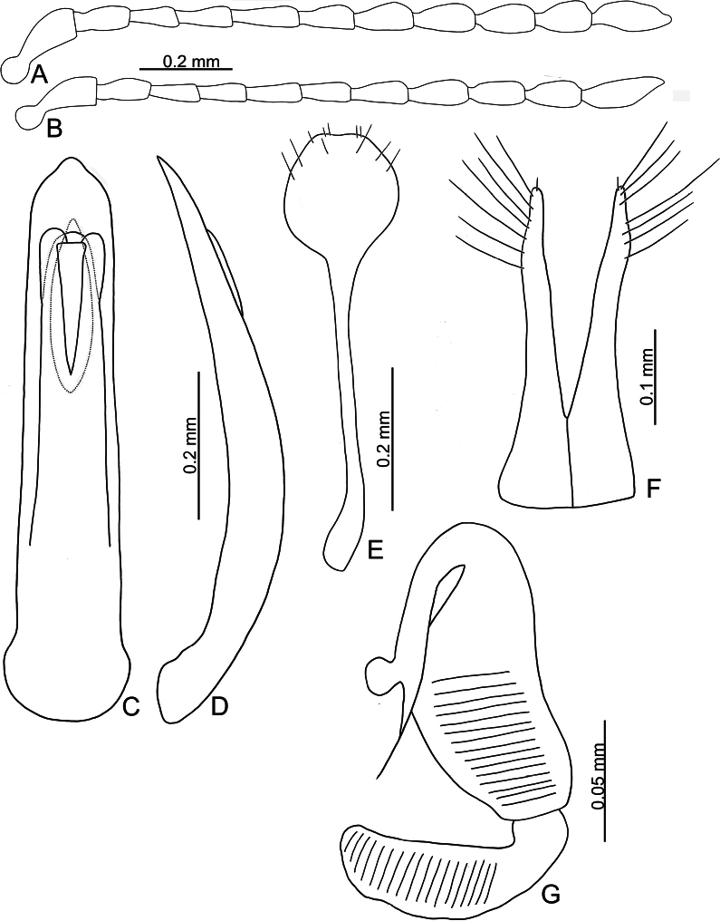 Figure 20