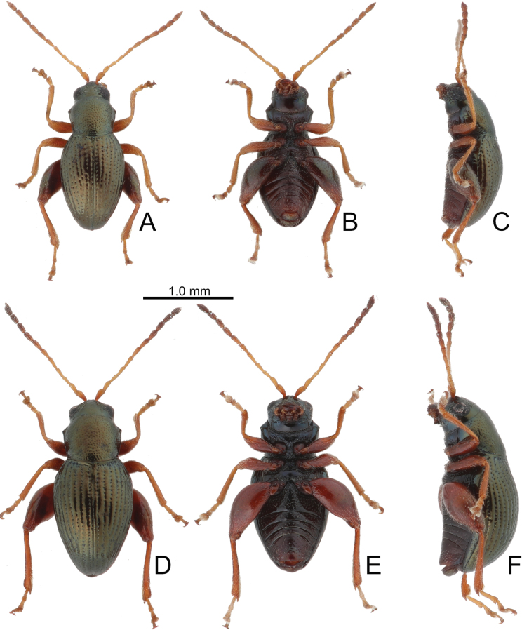 Figure 21