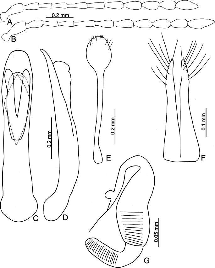 Figure 22