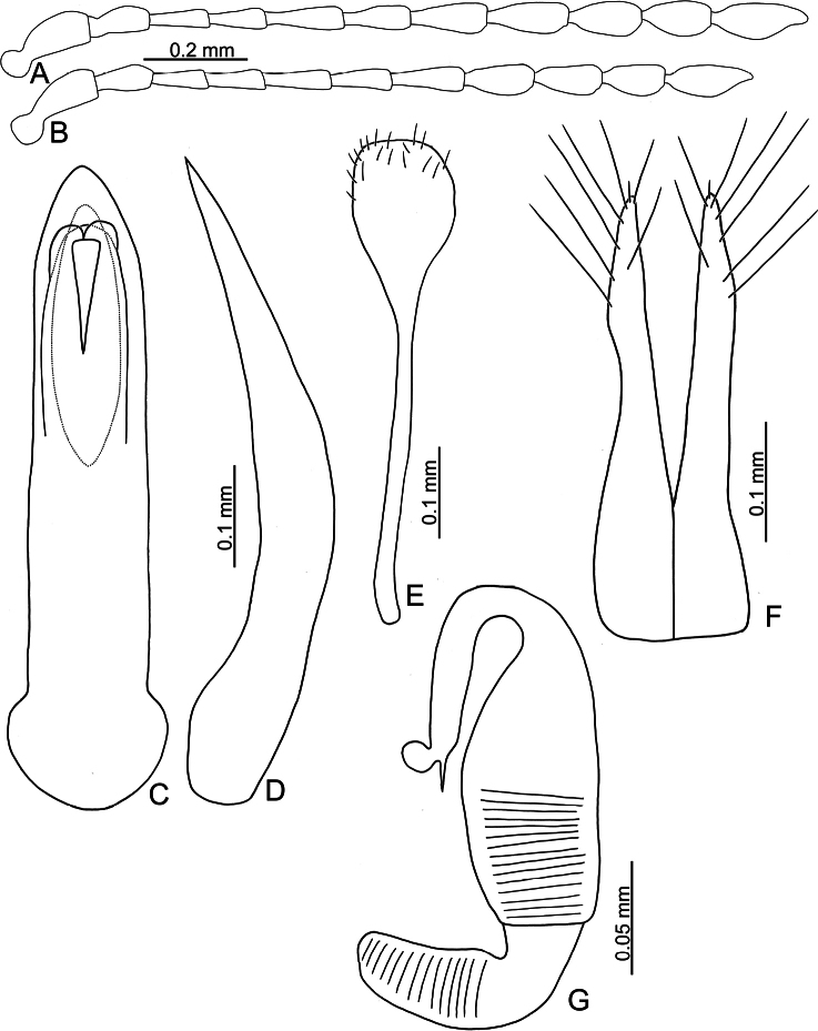 Figure 23