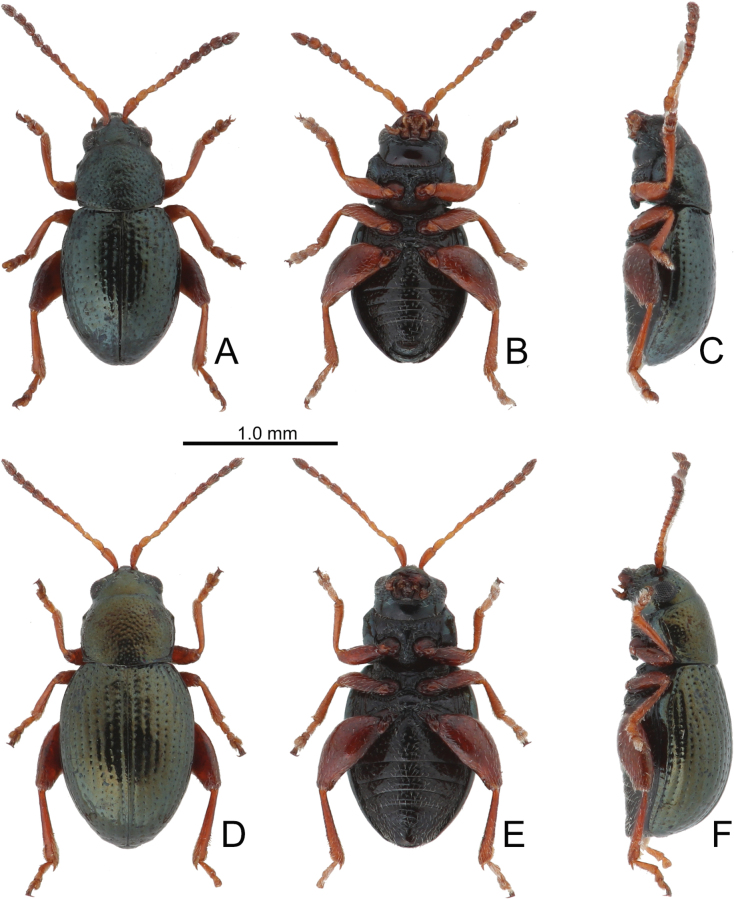 Figure 24