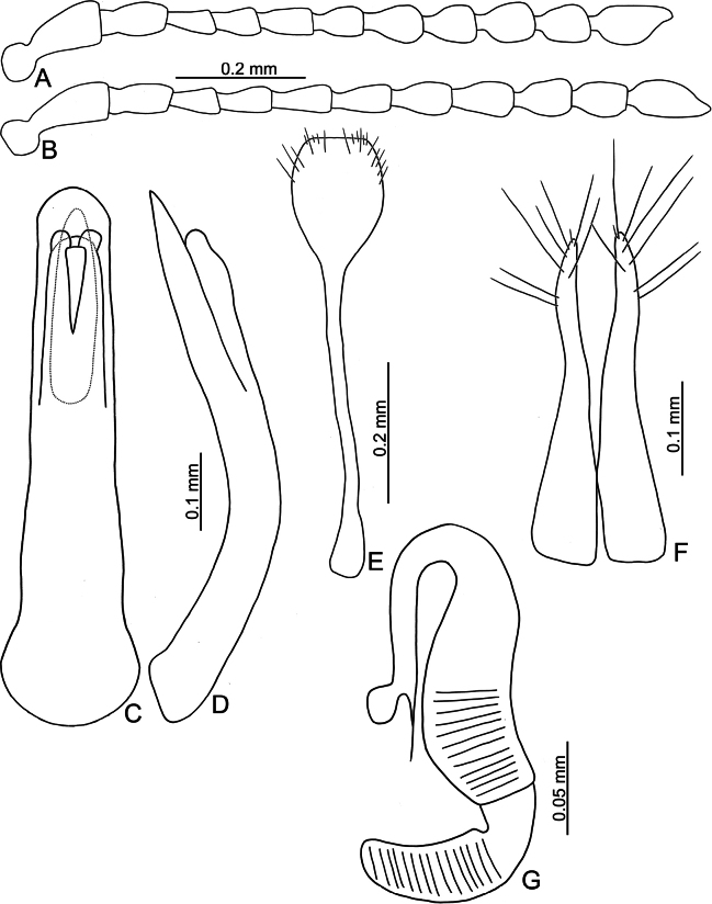 Figure 25