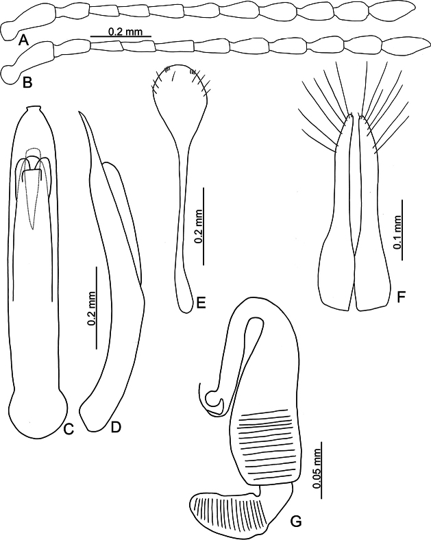 Figure 26