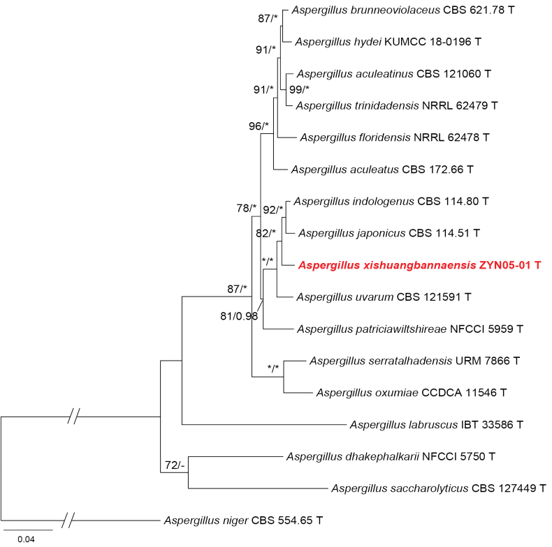 Figure 2