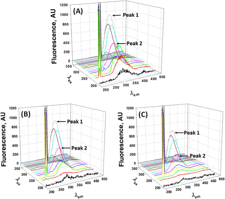 Fig. 10