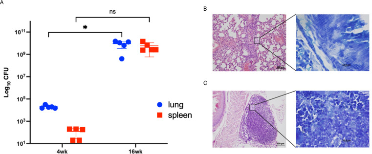 Figure 5