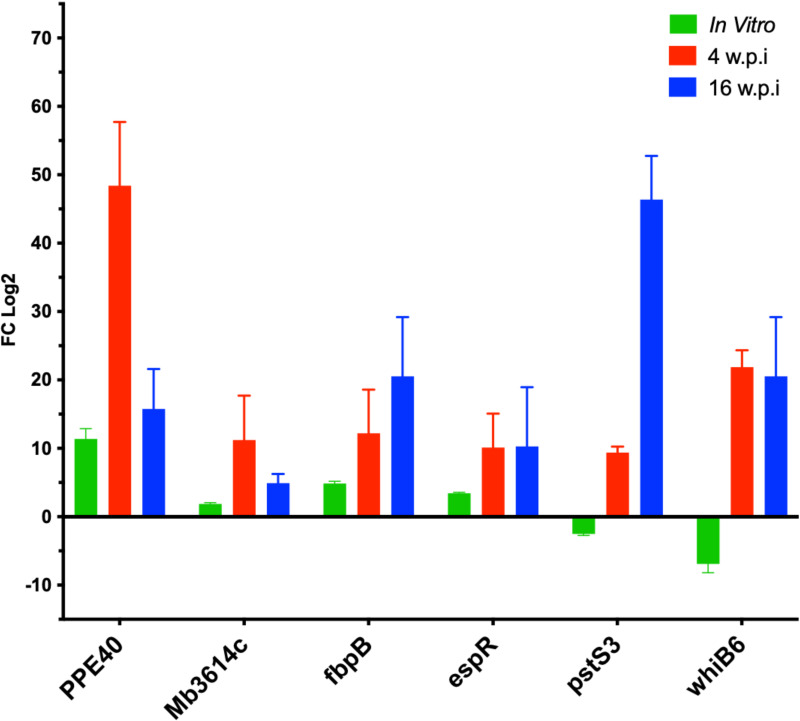 Figure 6