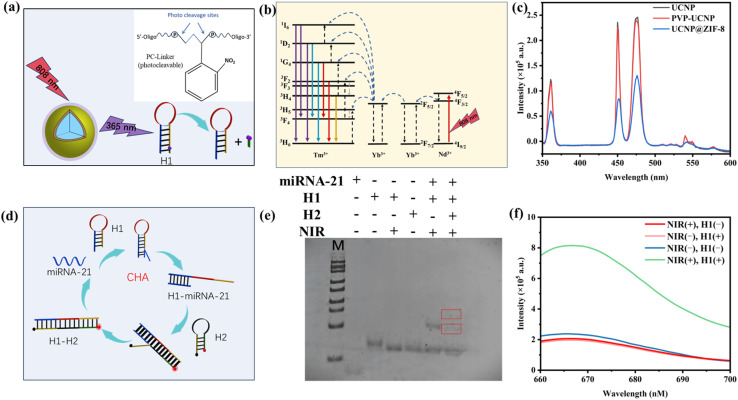 Fig. 4