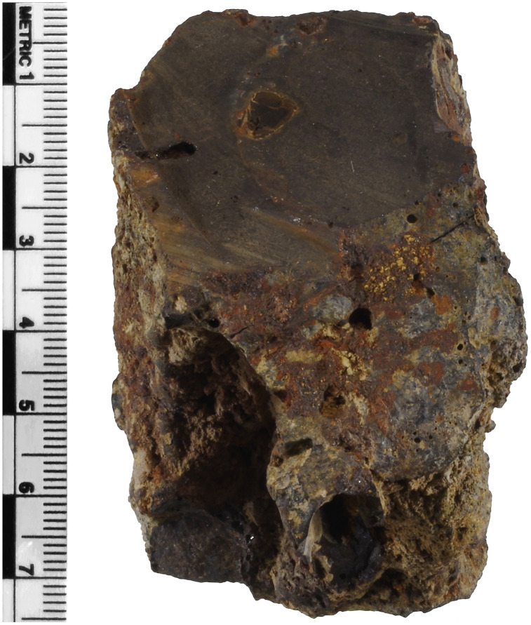 Fig 1