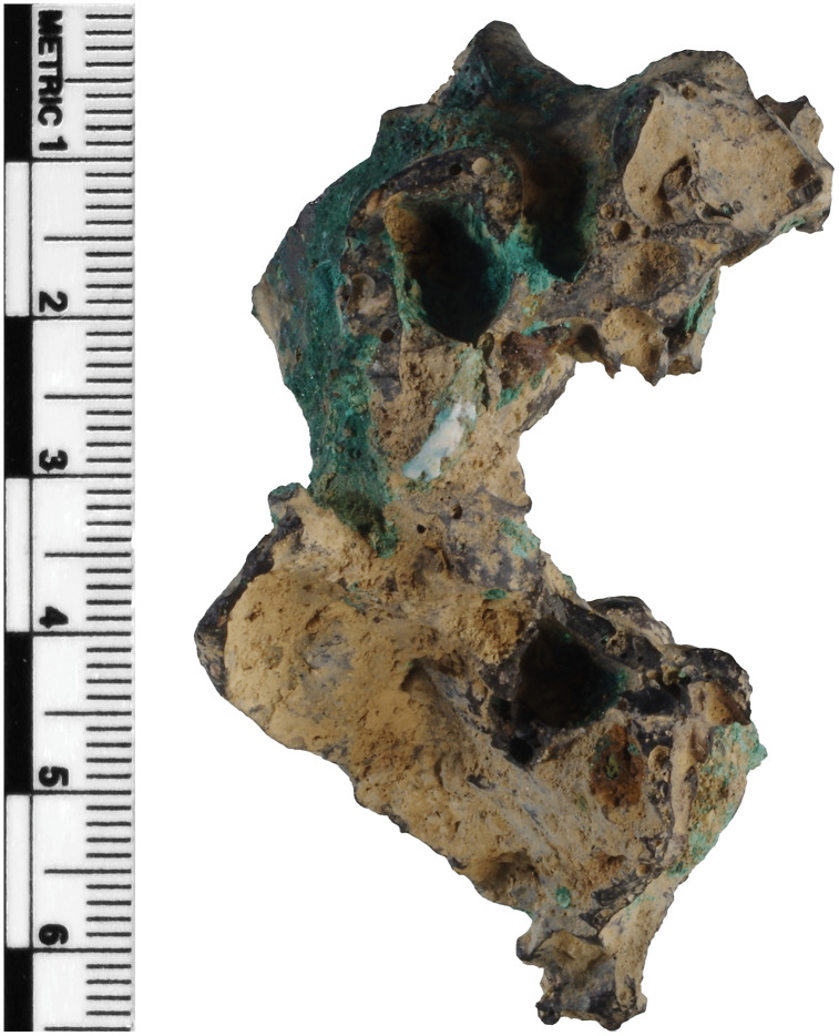 Fig 3