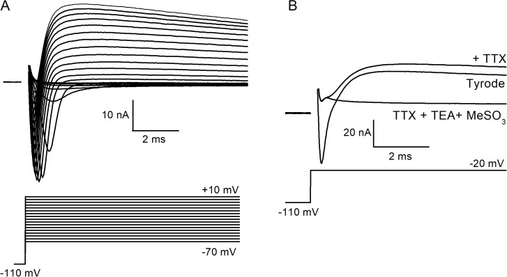 Fig 1