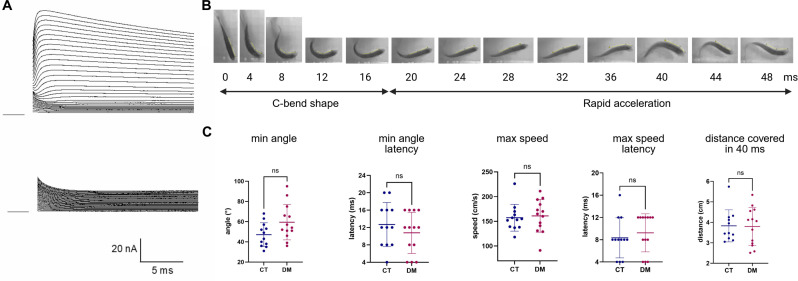 Fig 4