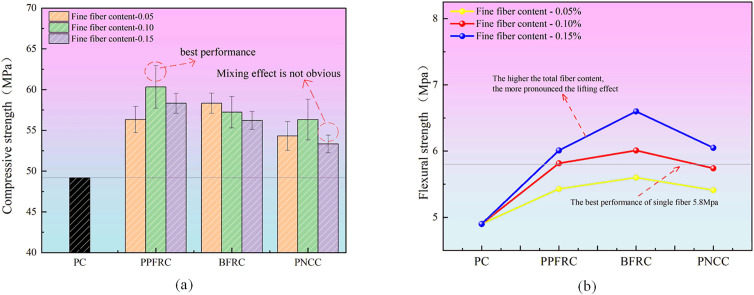 Fig 10