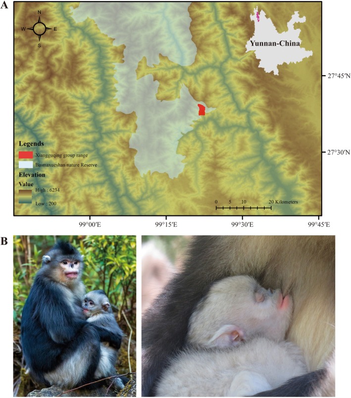 FIGURE 1