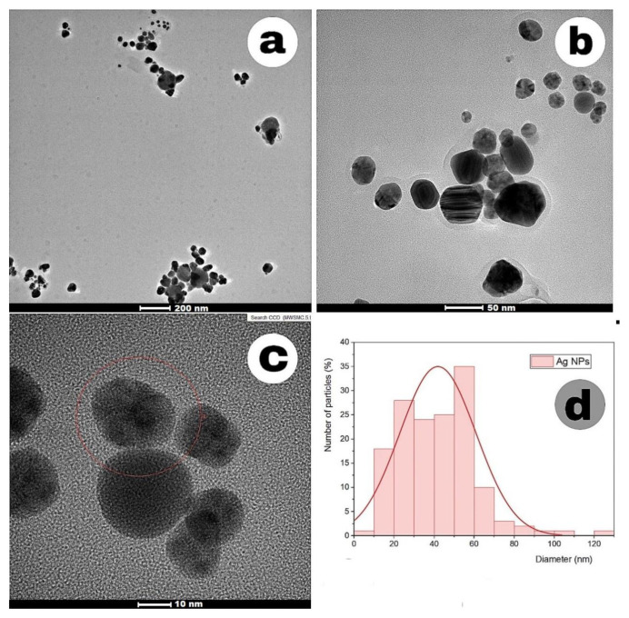 Figure 12