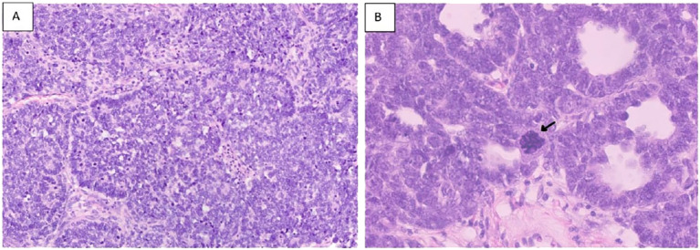 Figure 7
