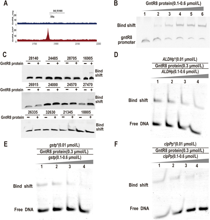Figure 3