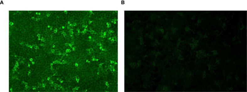 Figure 2