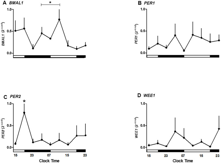 Figure 3