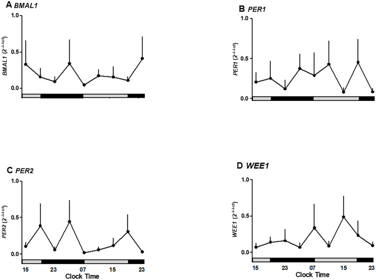 Figure 4