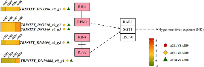 Figure 6