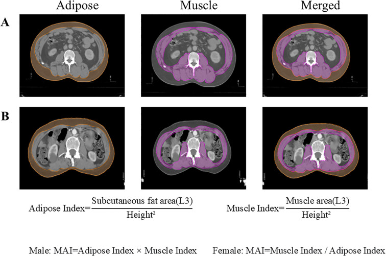 Figure 2
