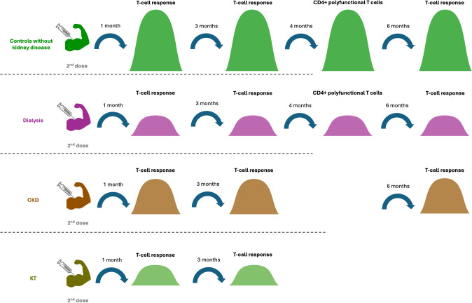 Figure 5