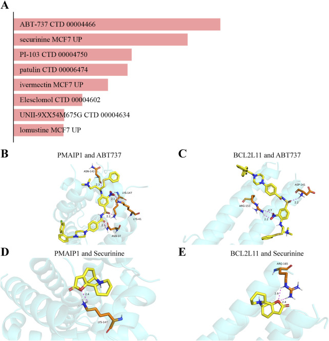 FIGURE 13