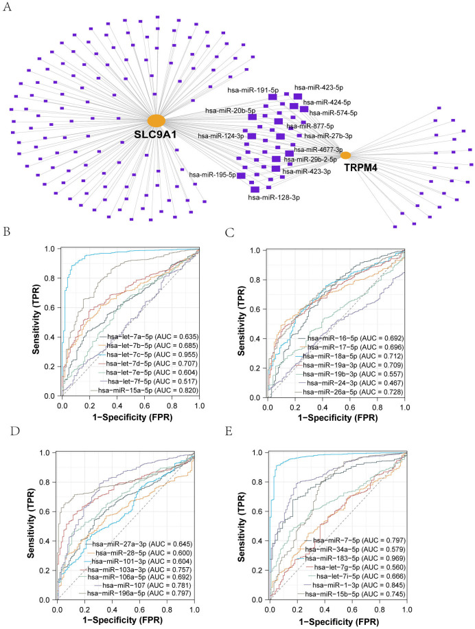 Figure 2
