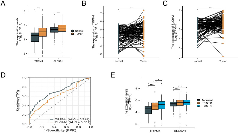 Figure 3