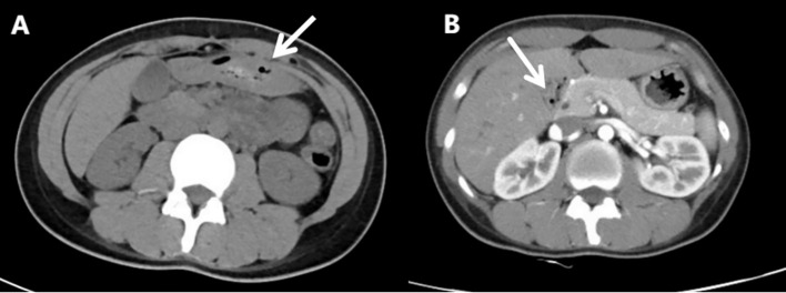 Figure 1