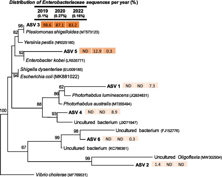 Figure 6