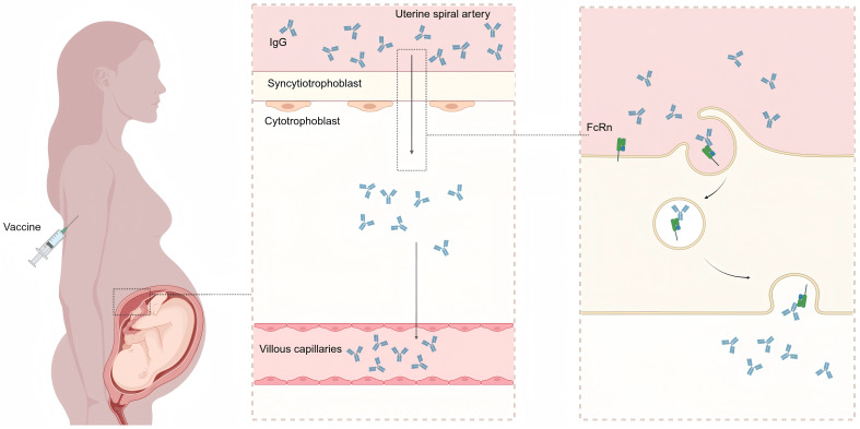 Figure 1